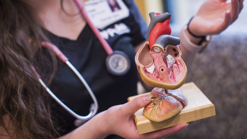 MultiCare Pulse Heart Institute
