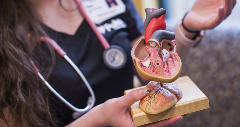 MultiCare Pulse Heart Institute